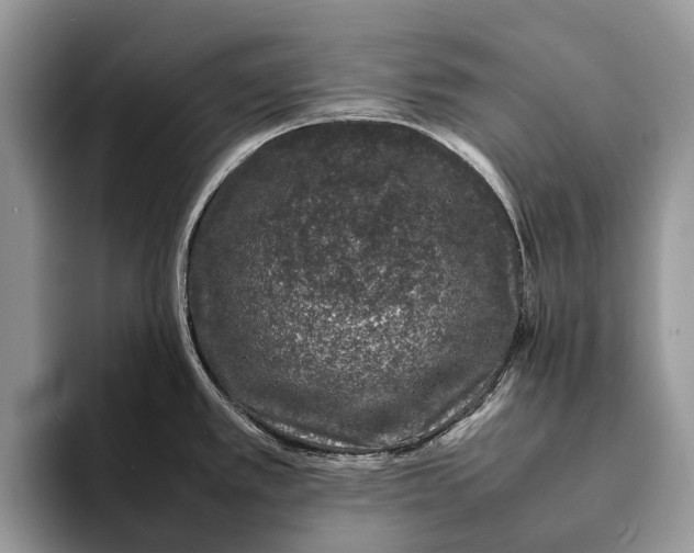X0000093161389200710171202