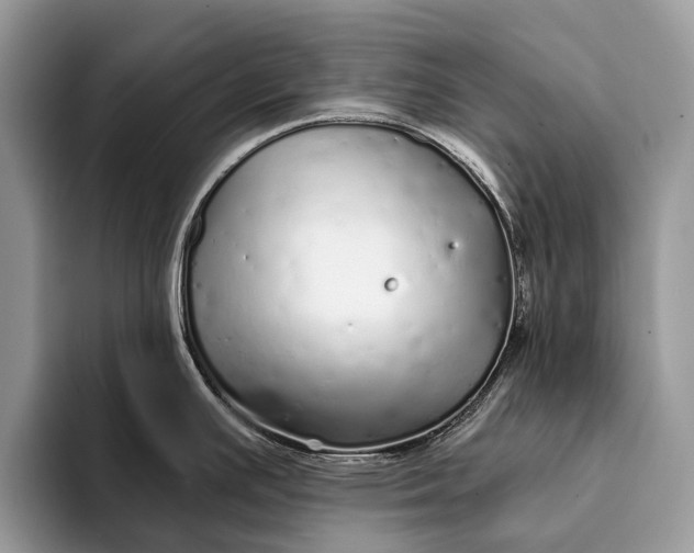 X0000093161391200710171202