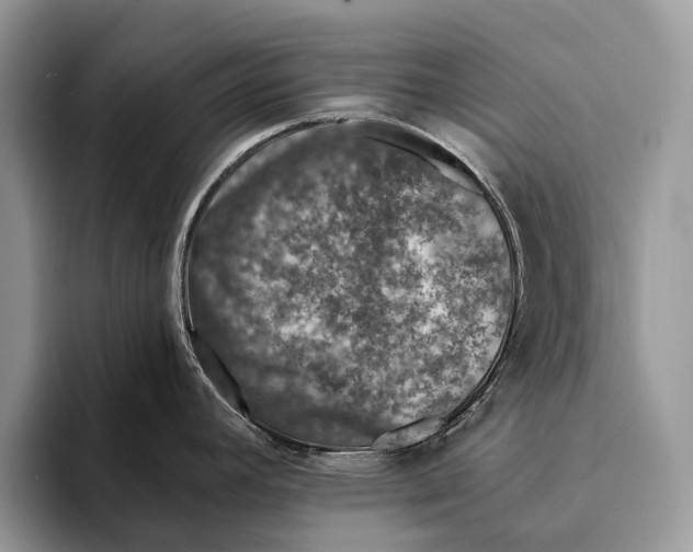 X0000093161392200710171202