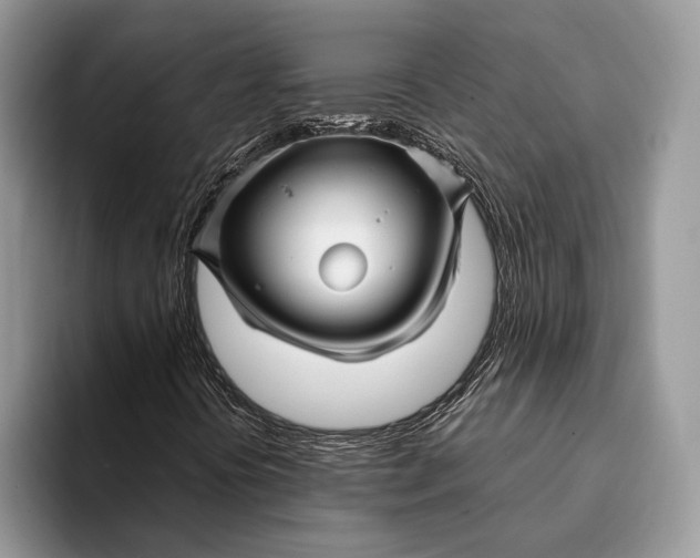 X0000093161394200710171201