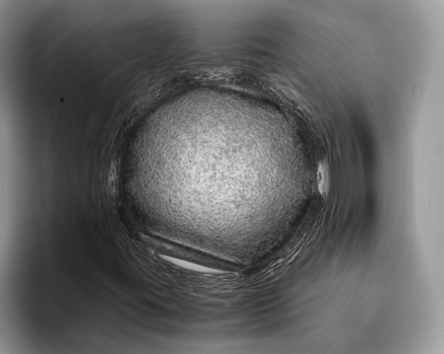 X0000093161395200710171201