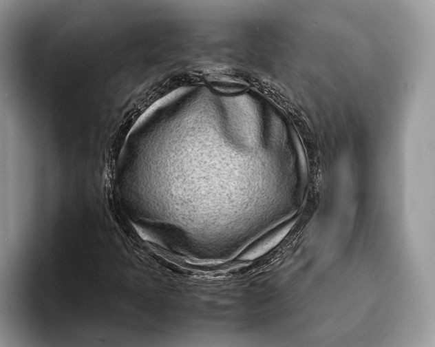 X0000093161397200710171201