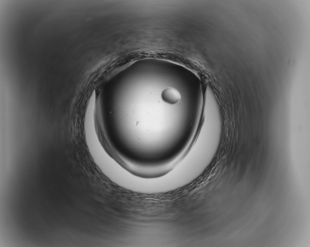 X0000093161398200710171201