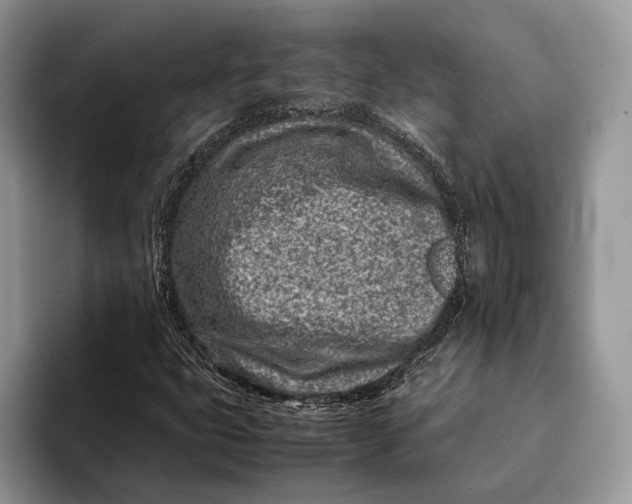 X0000093161399200710171201