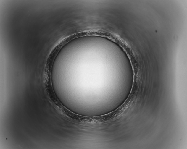 X0000093161400200710171201