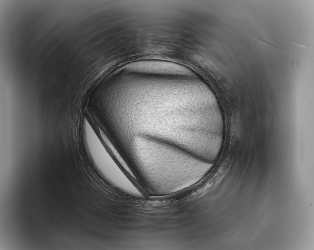 X0000093161401200710171201