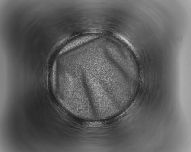 X0000093161403200710171201