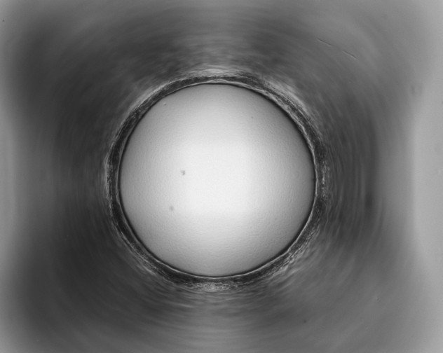 X0000093161404200710171201
