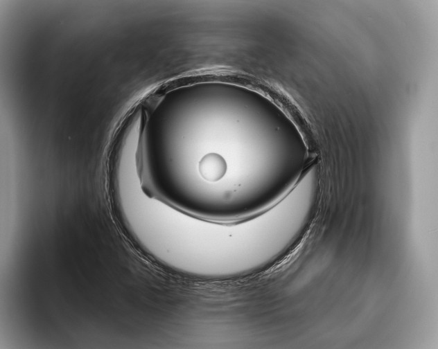 X0000093161406200710171201