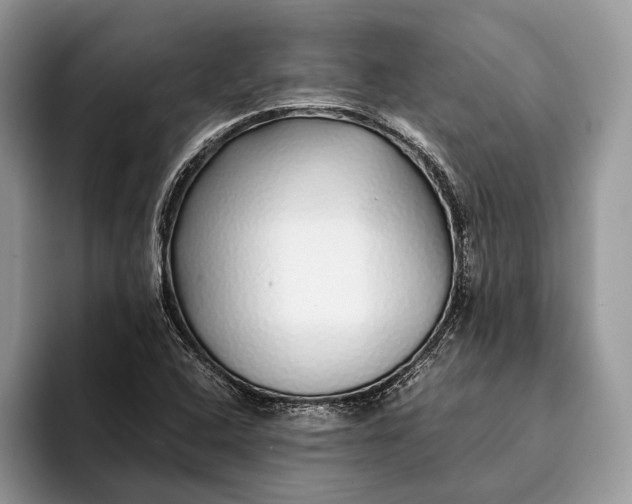 X0000093161408200710171201