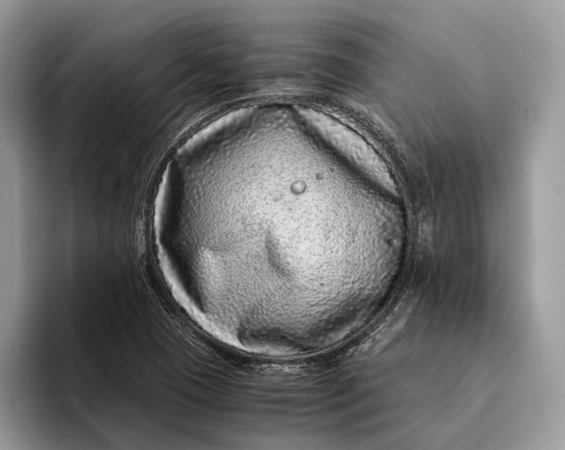 X0000093161409200710171201