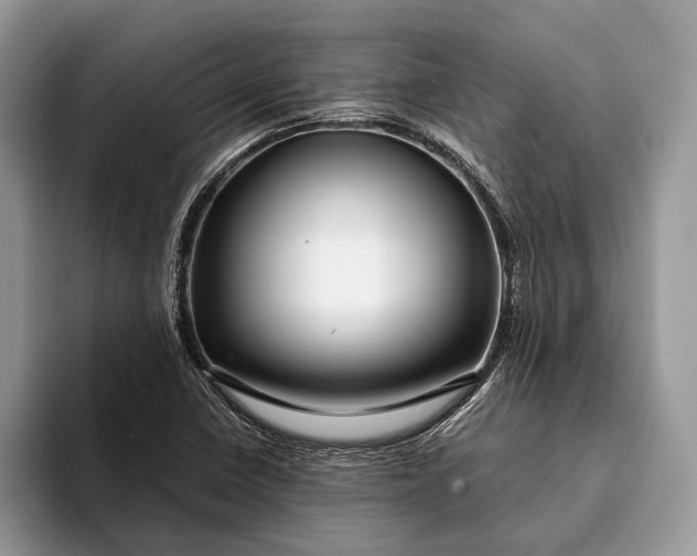 X0000093161410200710171201
