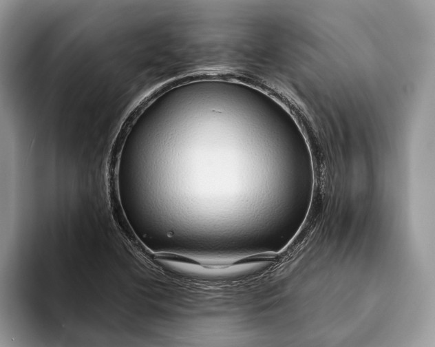 X0000093161412200710171201