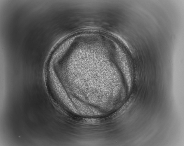 X0000093161413200710171201