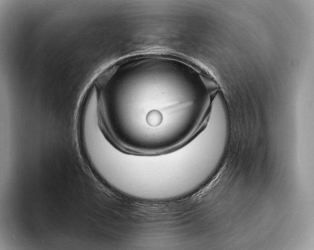 X0000093161414200710171201