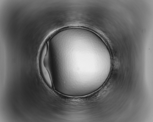 X0000093161416200710171201