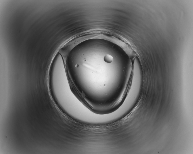 X0000093161418200710171201