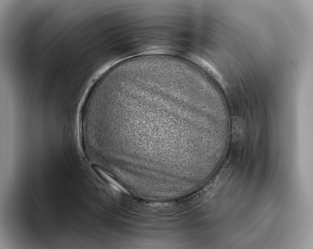X0000093161419200710171201