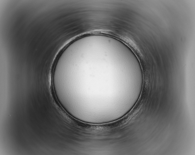 X0000093161420200710171201