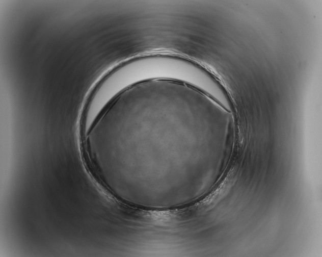 X0000093161422200710171201