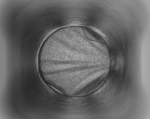 X0000093161423200710171201