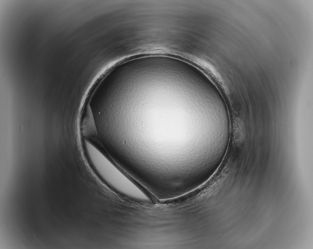 X0000093161424200710171201