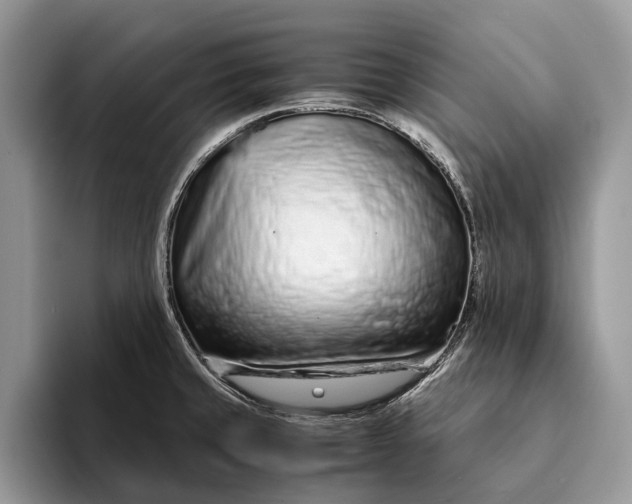 X0000093161429200710171201
