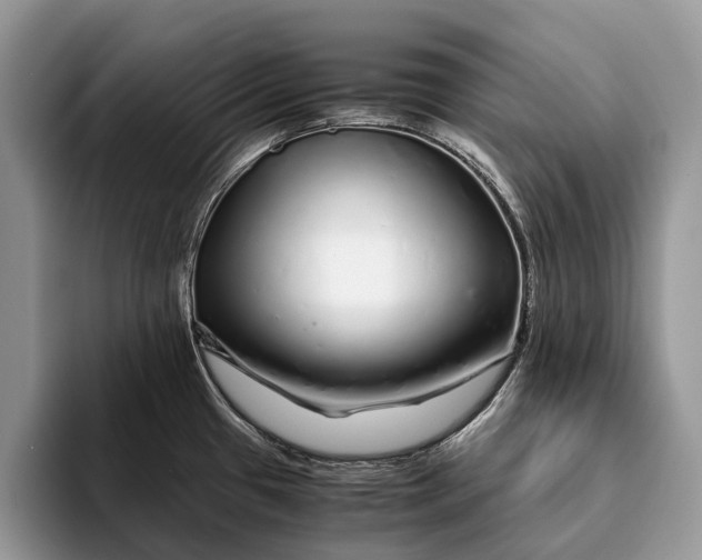 X0000093161433200710171202