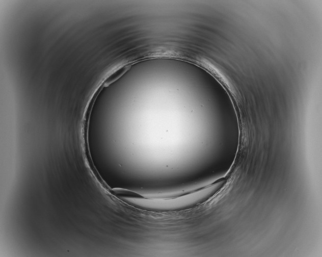 X0000093161434200710171202