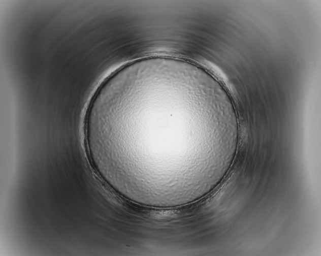 X0000093161435200710171202