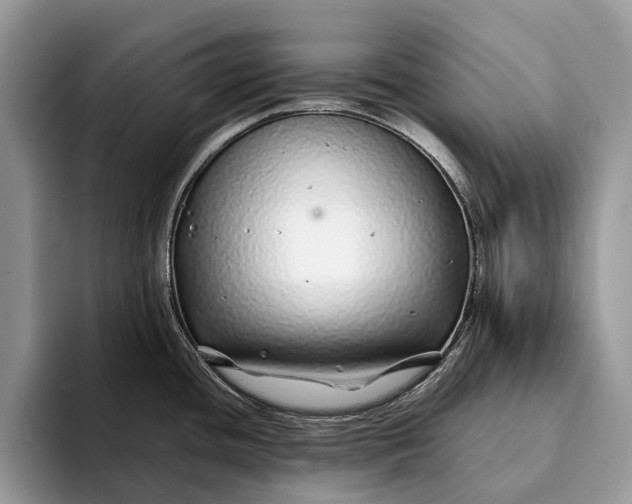 X0000093161436200710171202
