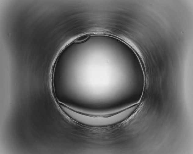 X0000093161437200710171202