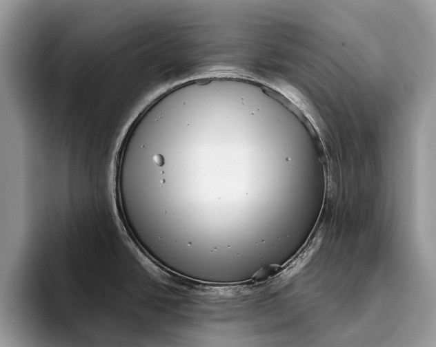 X0000093161438200710171202