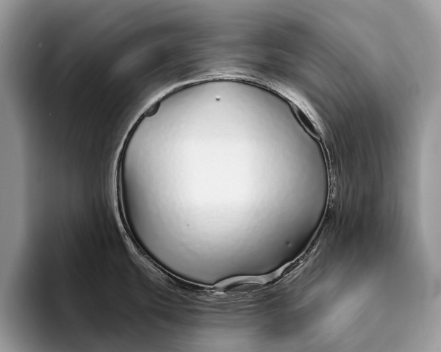 X0000093161439200710171202