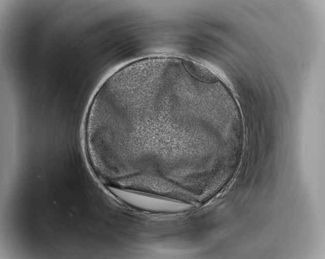 X0000093161440200710171202