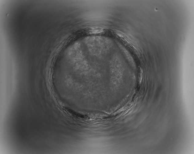 X0000093161441200710171201