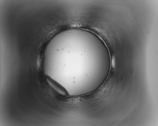X0000093161444200710171201