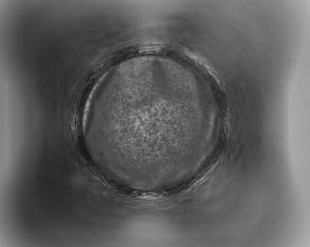 X0000093161445200710171201