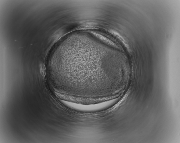 X0000093161449200710171201