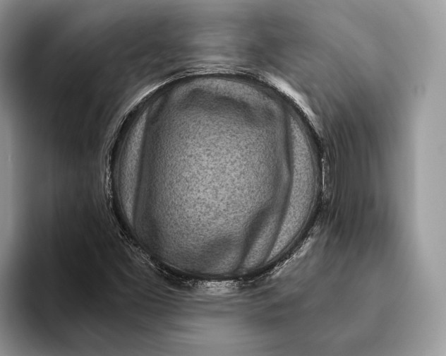 X0000093161453200710171201