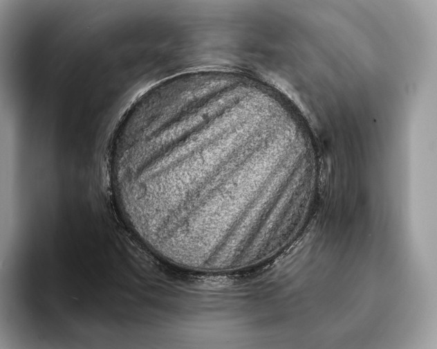 X0000093161455200710171201