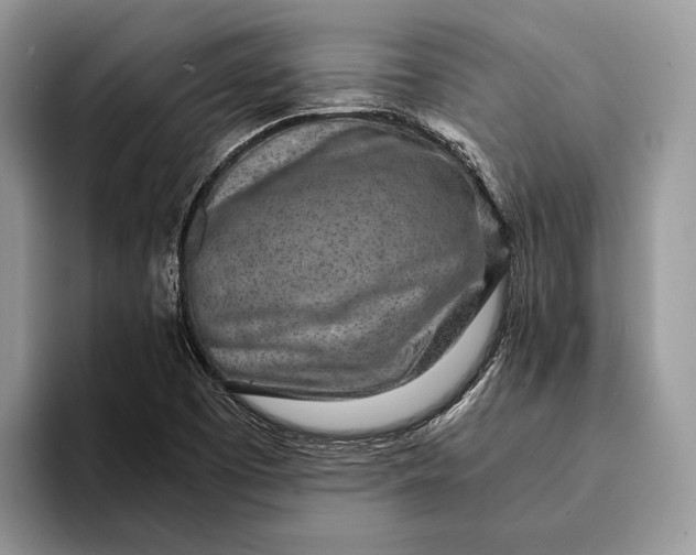 X0000093161457200710171201