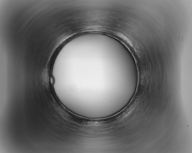 X0000093161458200710171201