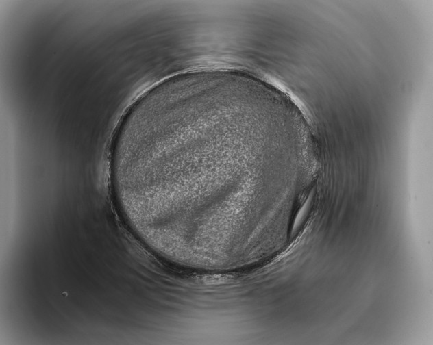 X0000093161459200710171201