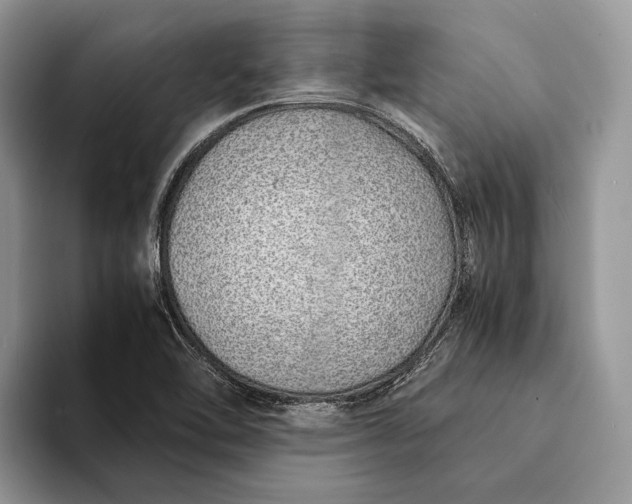 X0000093161462200710171201