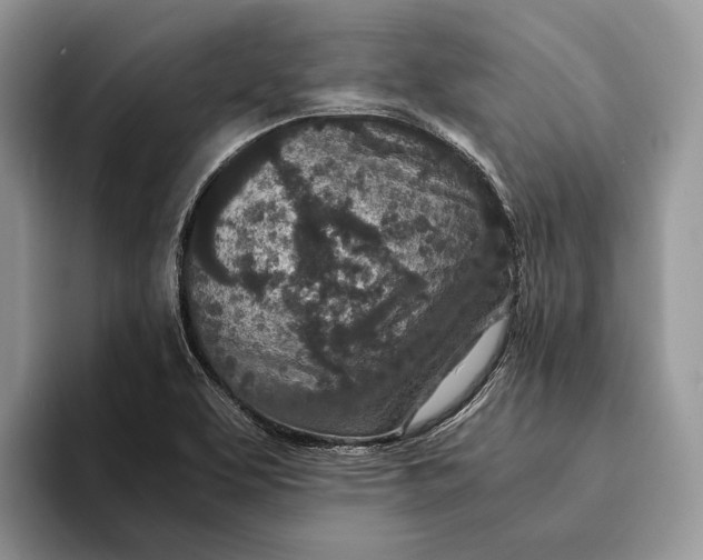 X0000093161463200710171201