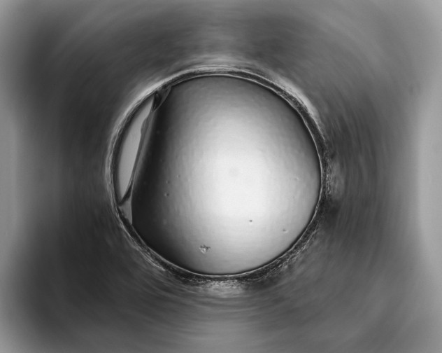 X0000093161464200710171201