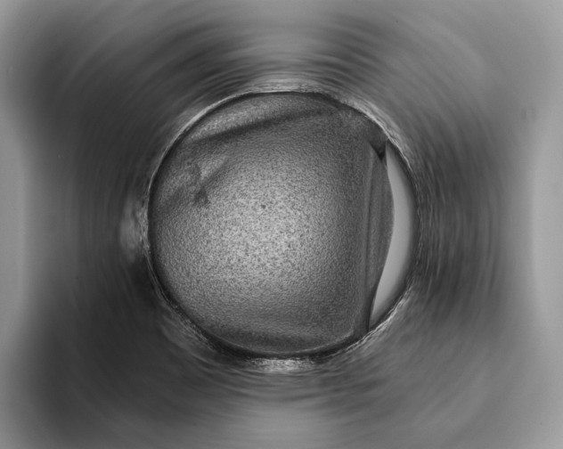 X0000093161465200710171201