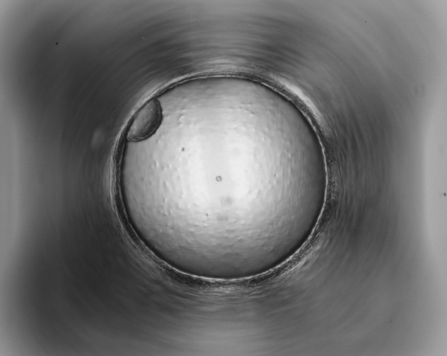 X0000093161467200710171201