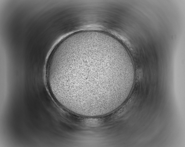X0000093161470200710171201